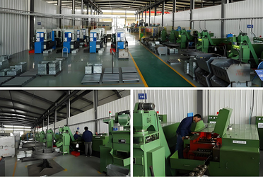 Shaanxi Flourish Industrial Co., Ltd. linea di produzione del fabbricante