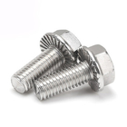 Metric Stainless Steel Hex Cap Serrated Flange Bolt With Nuts