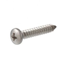 Le viti di spillatura messe trasversali di Pan Head Stainless Steel Self zincano il tipo placcato