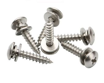 Assemblea messa trasversale su misura della rondella piana di Pan Head Tapping Screw And